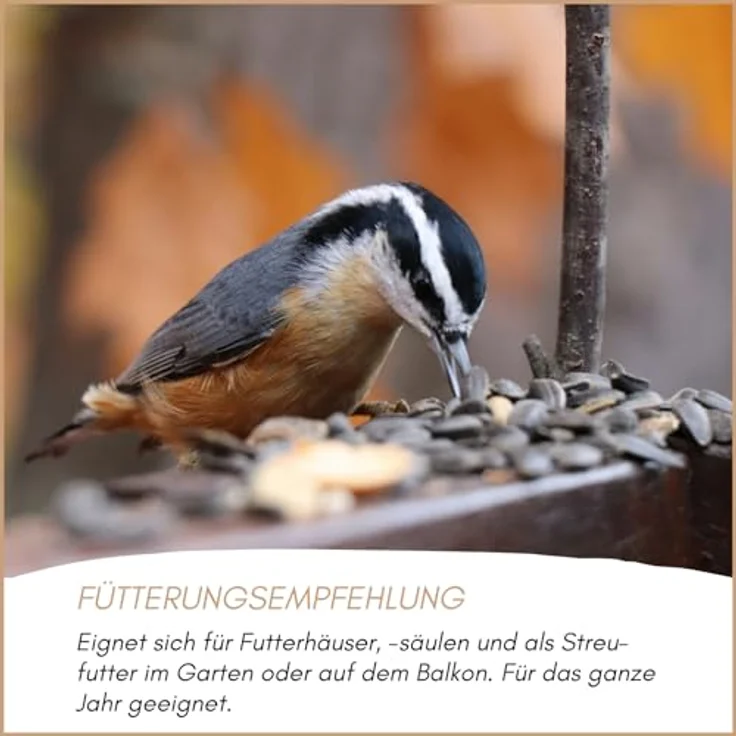 Supravit Sonnenblumenkerne Vogelfutter 25kg geschält, Nährstoffreiches Ganzjahresfutter für Wildvögel, Deutsche Herkunft – Bild 5
