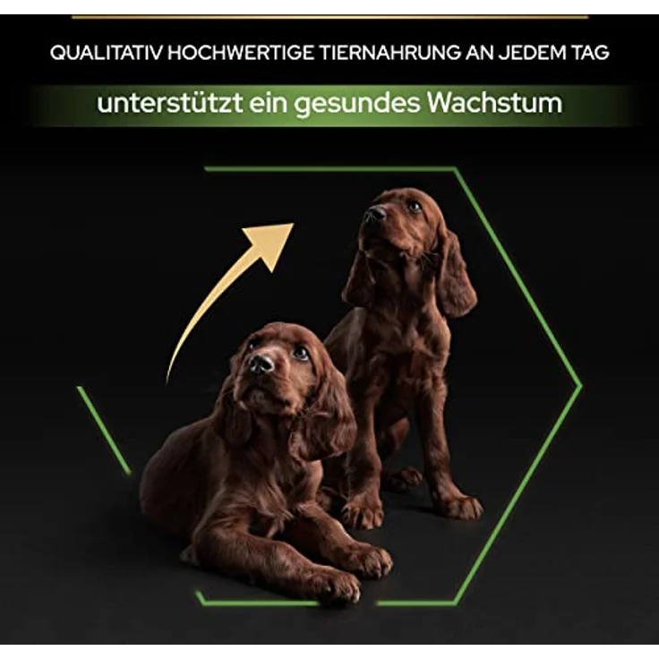 PRO PLAN Puppy Large Athletic Healthy Start Huhn, Hundefutter für Welpen großer Rassen, 12 kg – Bild 6