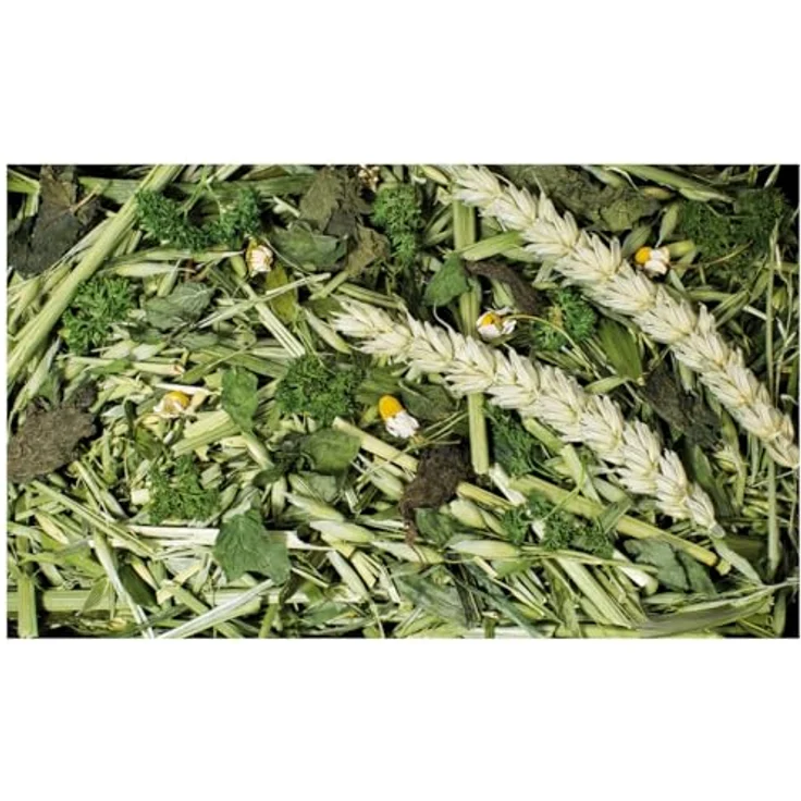 JR FARM Spitzwegerich 100g, gesundes Kleintierfutter mit schleimlösender Wirkung für die Atemwege, gentechnikfrei und aus Bayern – Bild 2