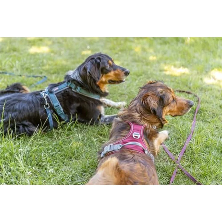 TRIXIE Hundeleine mit Anti-rutsch-Gummi Petrol blau – Bild 7