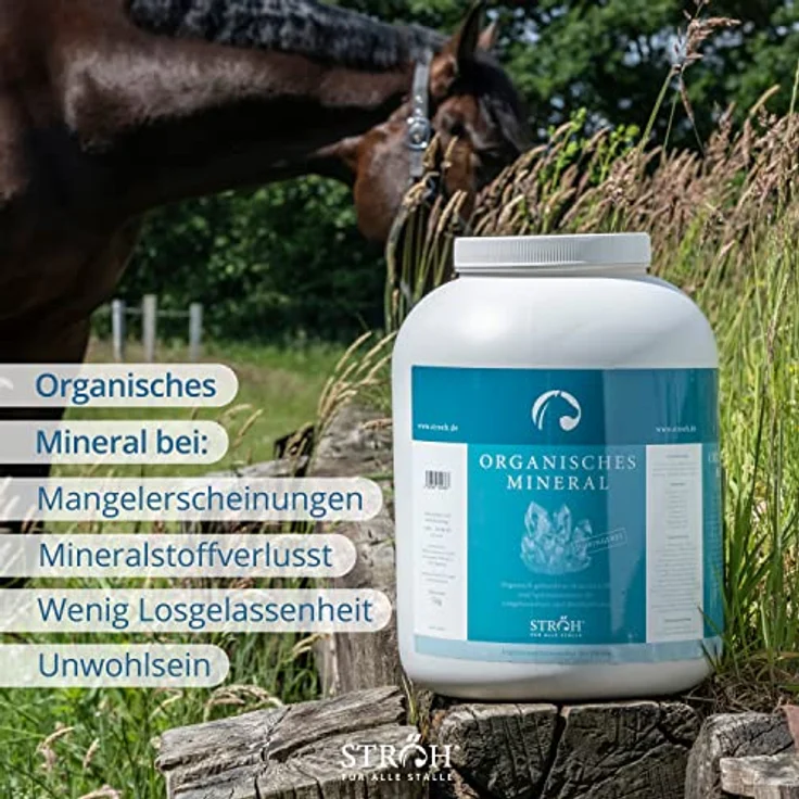 STRÖH Organisches Mineral für Pferde (5kg) • Mineralfutter mit Calcium, Eisen, Kupfer, Kobalt, Mangan & Magnesium für optimale Vitalität und Wohlbefinden – Bild 3