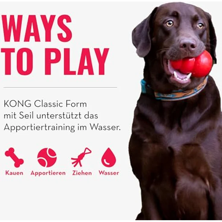 KONG Aqua – Bild 6