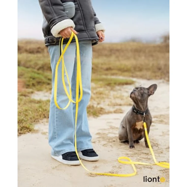 lionto wetterfeste Schleppleine, 5 m mit 360° Sicherheitskarabiner, gepolsterter Handschlaufe und Tasche, Nylongewebe mit PVC Beschichtung, gelb – Bild 2
