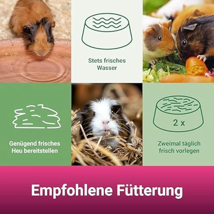 PANTO® Meerschweinchenfutter Pellets, 25 kg, hochwertiges Futter mit Extra an Vitamin C und hohem Faseranteil – Bild 4