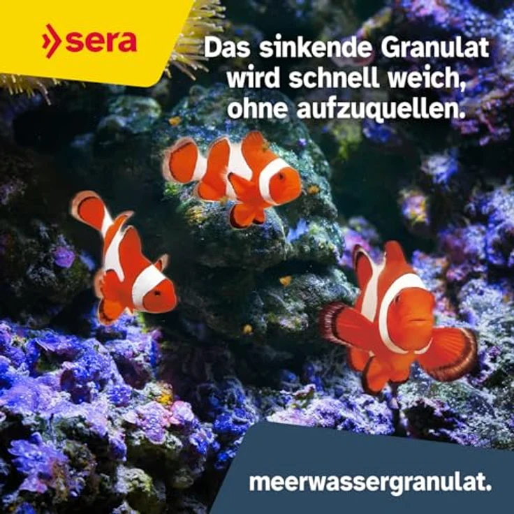 sera marine Granulat Nature 250 ml, Hauptfutter für Meerwasserfische mit hoher Verwertbarkeit und natürlichen Inhaltsstoffen – Bild 5