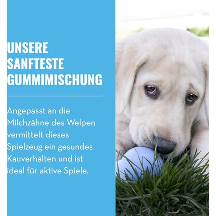 KONG Puppy Beißspielzeug, für mittelgroße Welpen, aus weichem Naturgummi, blau – Bild 3