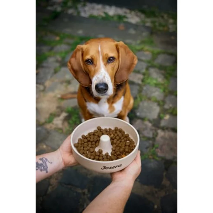 Josera All Sizes Adult Lamb und Rice, Trockenfutter für ausgewachsene Hunde aller Größen und Rassen, 900 g – Bild 4