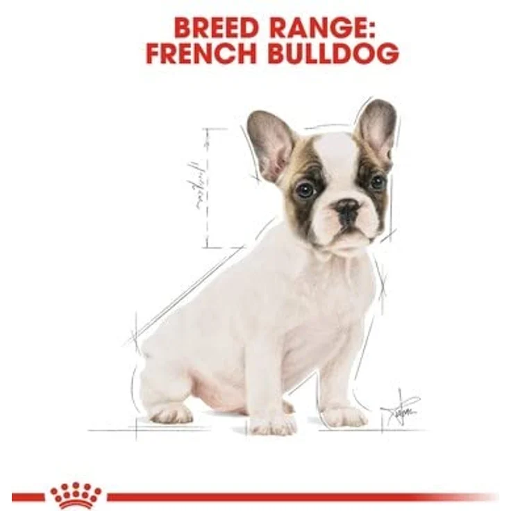 ROYAL CANIN Französische Bulldogge Puppy 10 kg, Hundefutter für Welpen mit speziellen Kroketten und Antioxidanzien für gesunde Haut und Verdauung – Bild 3