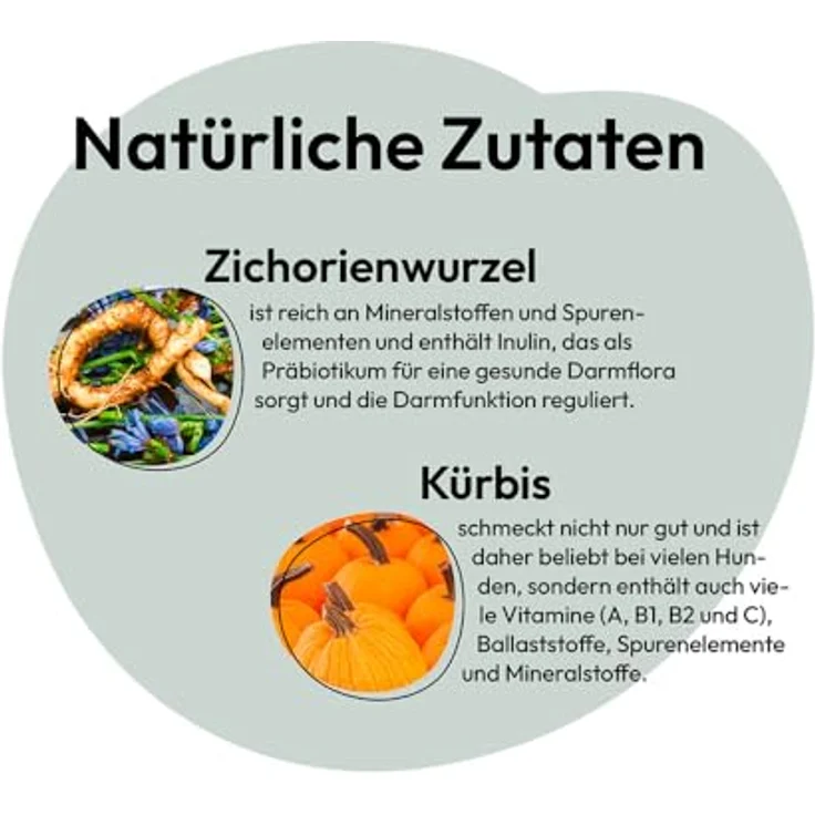 GRAU Trockengemüsemischung mit Obst zum BARFen für Hunde, Mischung Nr. 1, magen- und darmschonend, 500 g – Bild 3