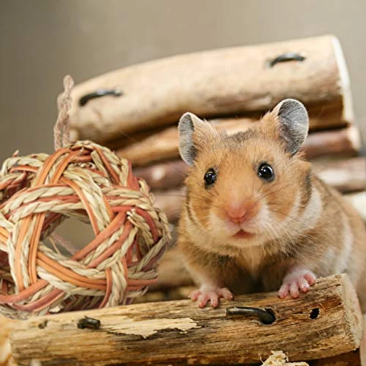 Relaxdays Hamster Zubehör Set 5 TLG., Naturmaterialien mit Grasröhre und 4 Bällen für Nager und Mäuse – Bild 3