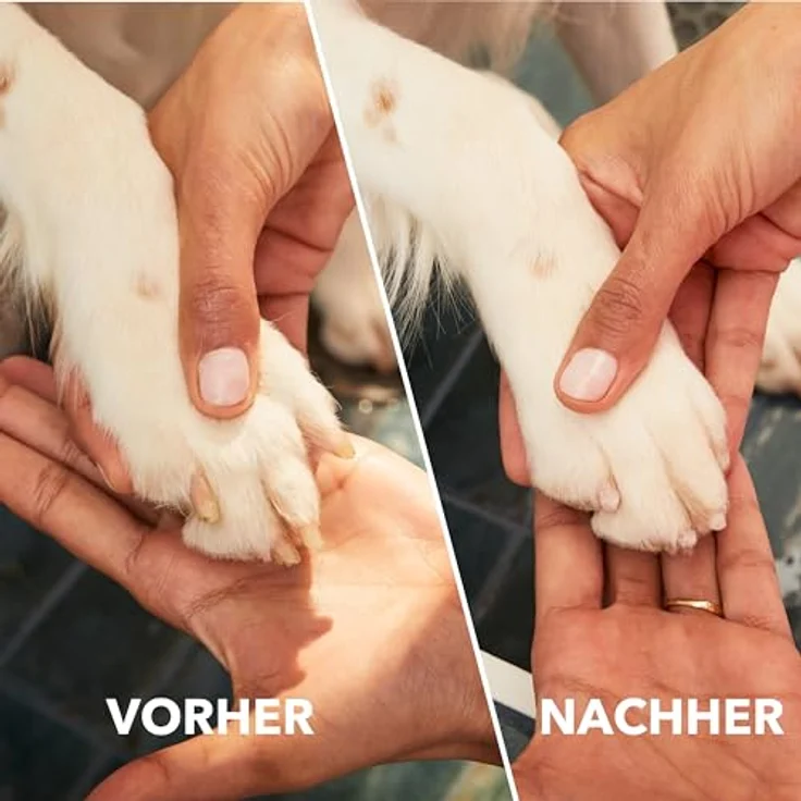 DREMEL MAX Schleifstift für die Tiernagelpflege, diamantbeschichtetes Zubehör mit Krallenschutz und schneller, leiser Anwendung, passend für alle Krallengrößen – Bild 4