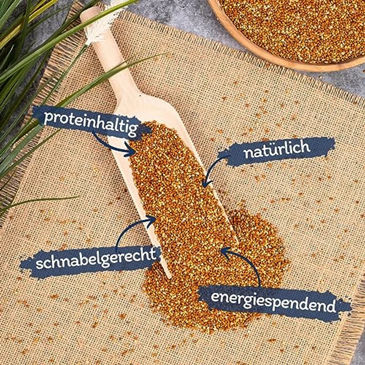 Lyra Pet® Hirse rot | 25 kg, hochwertiges Vogelfutter für Ziervögel & Wildvögel, mineralstoffreicher Energielieferant, ideal für Futtermischungen, ganzjährig einsetzbar – Bild 2