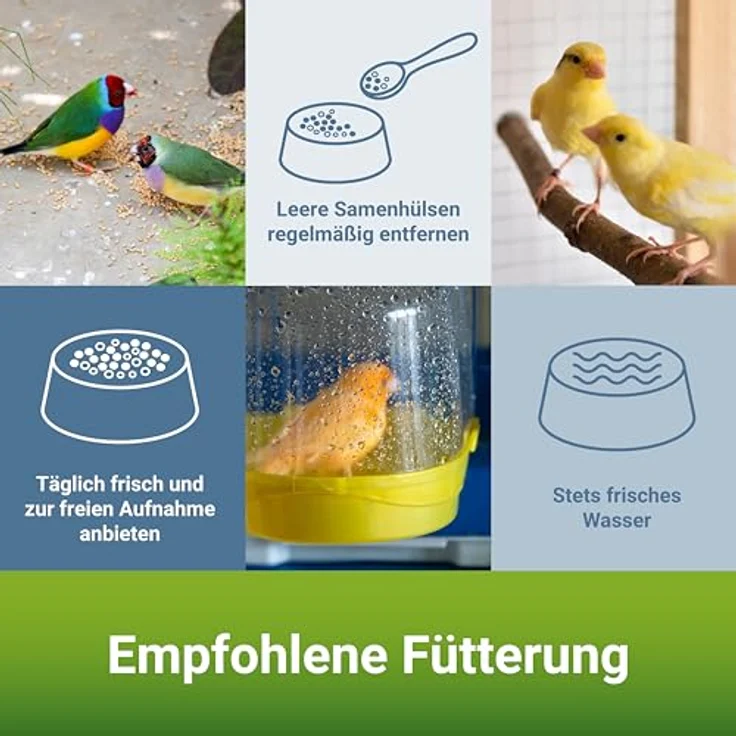 PANTO Kanarienfutter mit Pluramin, 25kg - artgerechte bunte Saatenmischung ohne Nüsse für Ziervögel – Bild 4