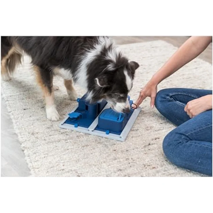 Trixie Dog Activity Strategiespiel Poker Box 2 – Bild 2