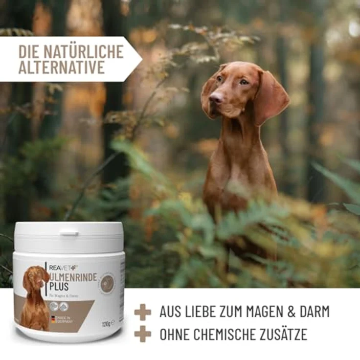 ReaVET Ulmenrinde Plus, stark schleimendes Pulver ohne Aufkochen für Hunde & Katzen, 120g, naturrein in Premiumqualität, unterstützt Verdauung und Darmflora – Bild 5