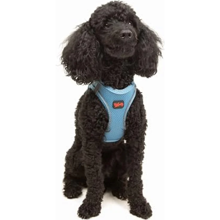 Tailpetz Air-Mesh Brustgeschirr für kleine und mittelgroße Katzen und Hunde – Weich, Atmungsaktiv, Strapazierfähig, Blau, XS (Brustumfang 35,5–40,5 cm) – Bild 1