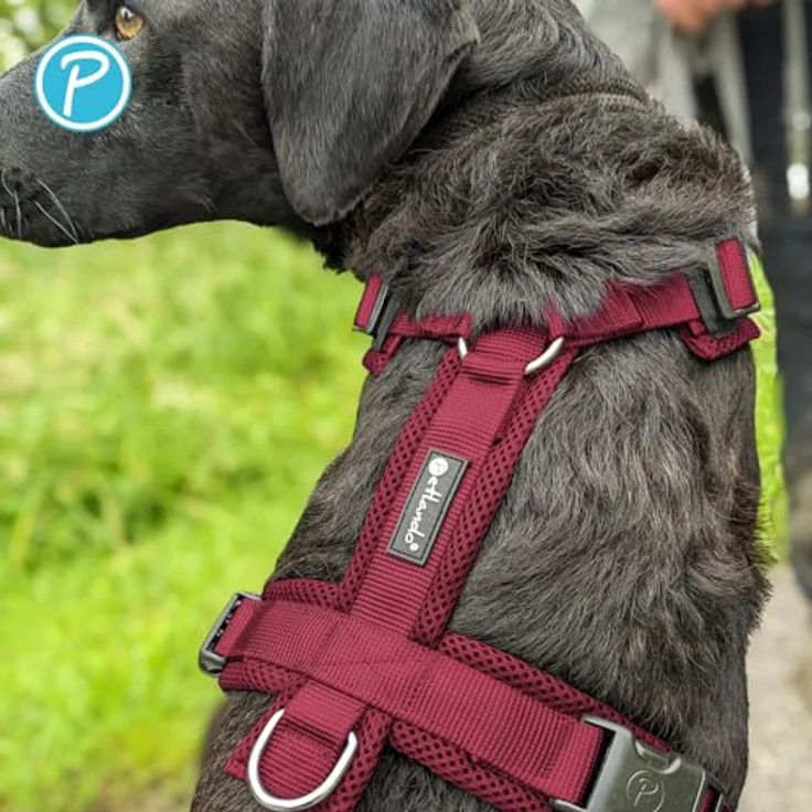 Petlando Hundegeschirr Y-Comfort, gepolstert, stufenlos verstellbar, leicht und atmungsaktiv, für sehr große Hunde, Bordeaux, XL – Bild 5