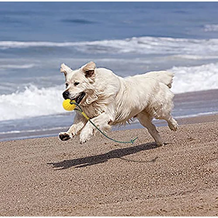 MMSGA Hundeball mit Seil, Trainingsball aus Schaumstoff, schwimmender Ball für große Hunde, 9 cm Durchmesser, 50 cm Seillänge, interaktiv und robust – Bild 5