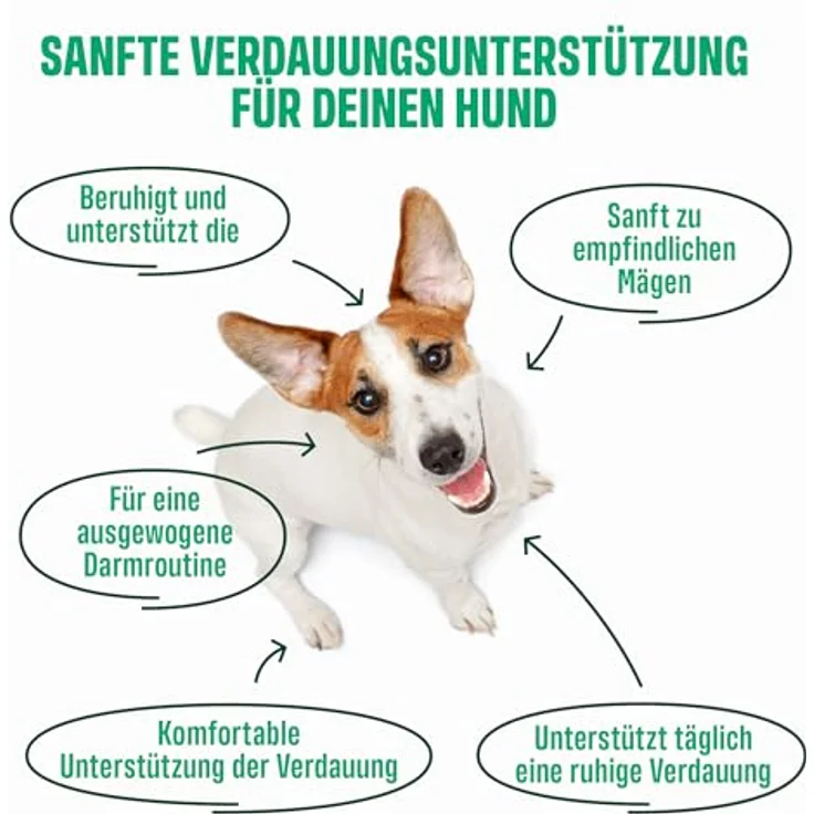 ivvi Ulmus Hundesnacks, Weiche Ulmenrinde Snacks mit Kürbis & Leinsamen, 30% Huhn für sensible Hunde, 270g, 60 Stück – Bild 3