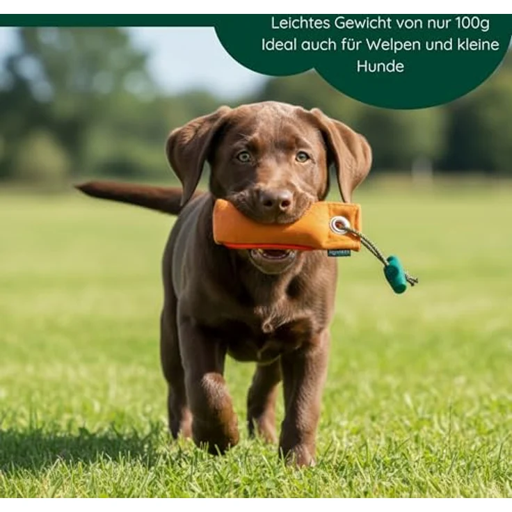 Romneys Suchen Dummy Mini-Dummy für kleine Hunde 100g, schwimmfähig mit Wurfgriff, orange – Bild 4