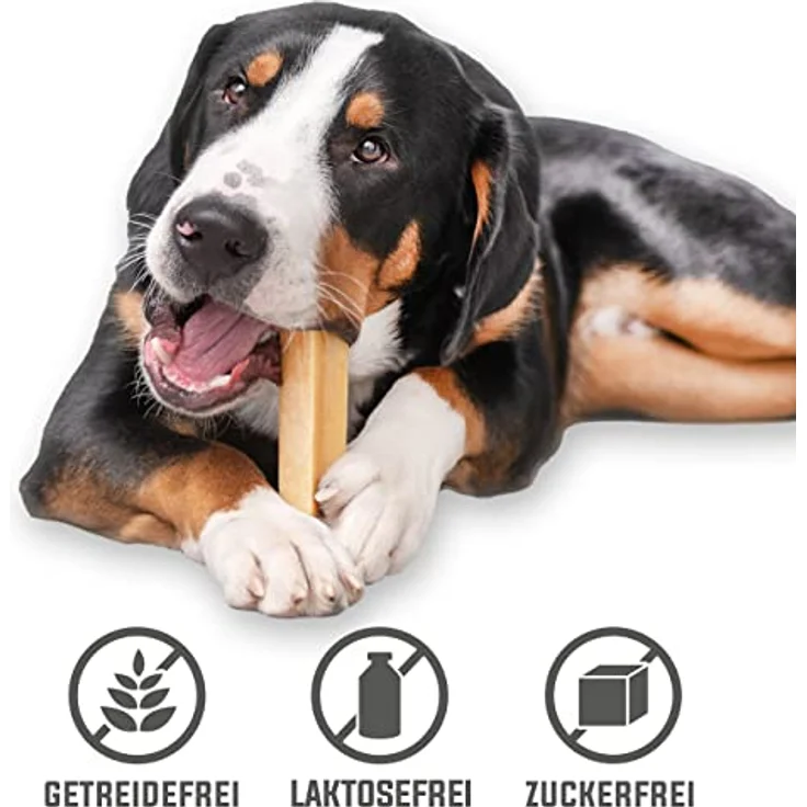 Yaky Larsson Kaukäse für Hunde - Größe L, 80-100g, 100% natürlich, glutenfrei, leicht verdaulich, Zahnpflegesnack – Bild 2