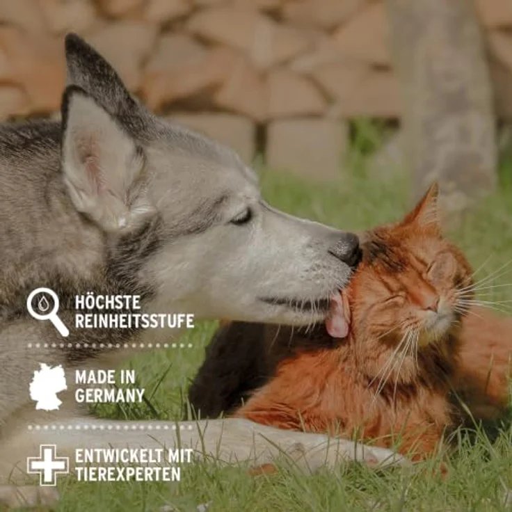 AniForte Kolloidales Silberwasser für Hunde & Katzen 250 ml - zur Wundversorgung, Reinigung & Pflege, 25 ppm kolloidales Silber, Silberspray aus reinem Osmosewasser – Bild 4