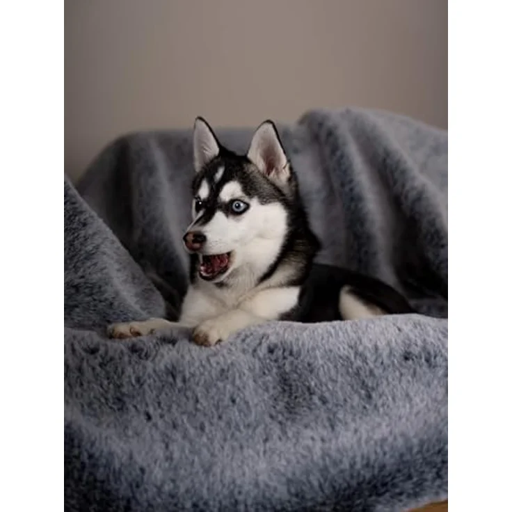 TrendPet Yuma Felldecke, Kuschelige Premium Hundedecke für Hunde und Katzen, XXL Sofadecke 170 x 100 cm – Bild 4