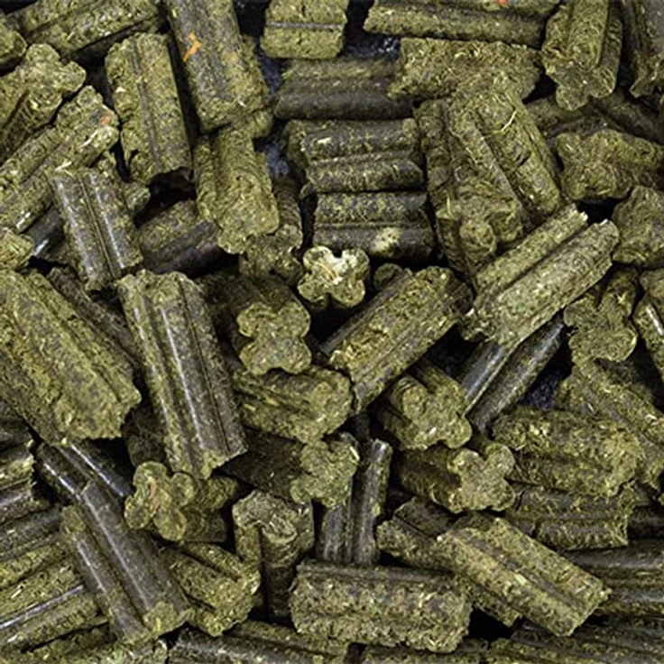 JR FARM Grainless Complete Junior Zwergkaninchen, Getreidefreies Kleintierfutter mit ballaststoffreichen Quad-Bits, 1000 g – Bild 3