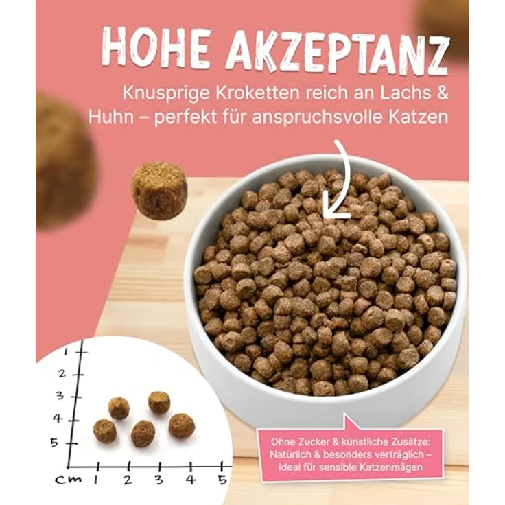 NutriQM Nutriness Adult Trockenfutter Lachs, 5×800 g – ohne Gluten & Zucker, für glänzendes Fell & starke Abwehr – Initiative Tierwohl zertifiziert – Made in Germany – Bild 3