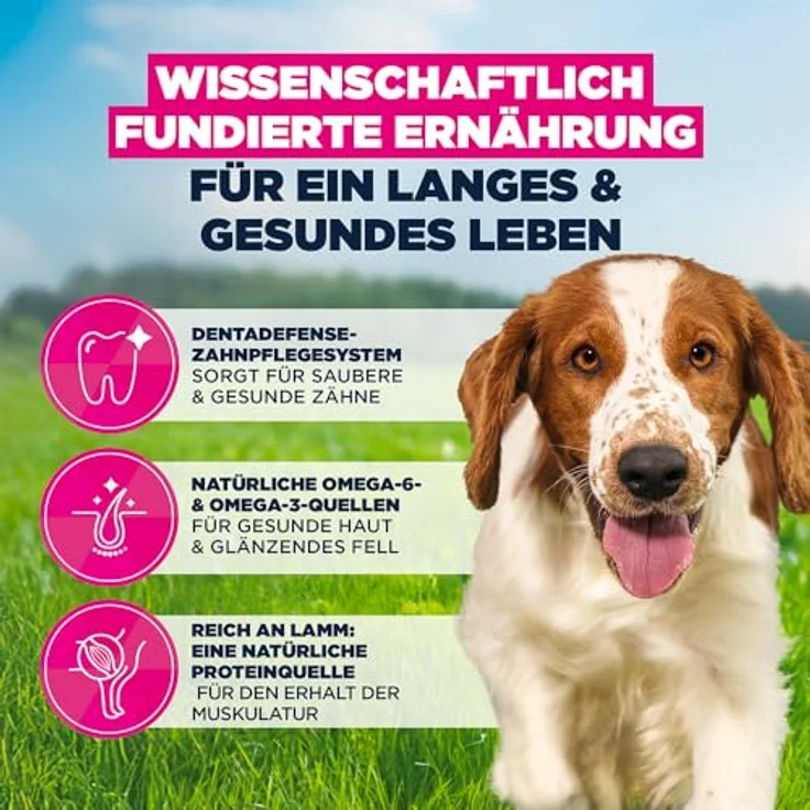 Eukanuba Hundefutter Trocken mit Lachs und Gerste, Premium für kleine und mittelgroße Rassen, 12 kg, mit L-Carnitin und DentaDefense – Bild 5