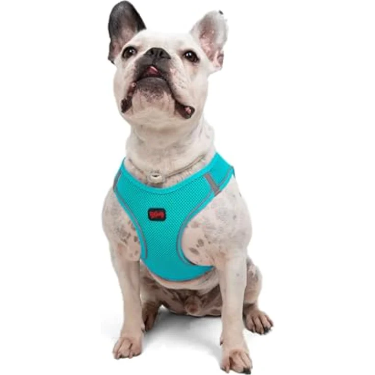 Tailpetz Air-Mesh Brustgeschirr, Weich und Atmungsaktiv für kleine und mittelgroße Katzen und Hunde, Türkis, L (Brustumfang 59–63,5 cm) – Bild 1
