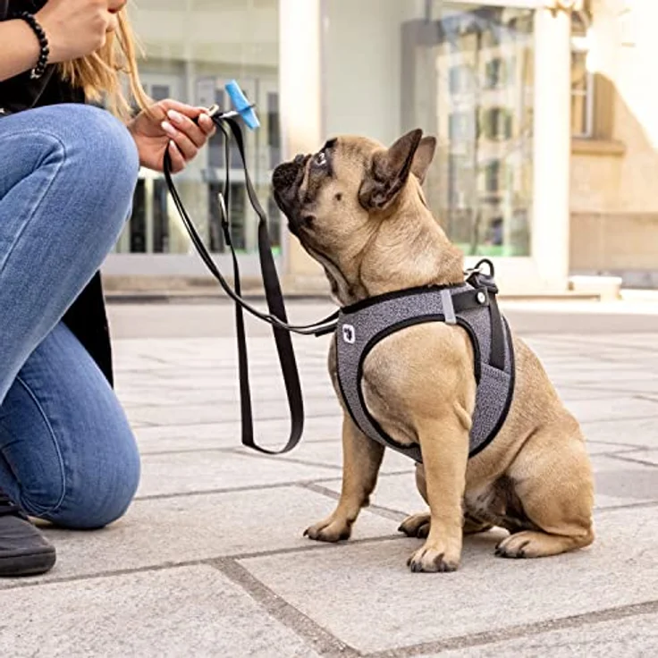 Curli Hunde-Geschirr Clasp Vest Geschirr Merino schwarz - Air-Mesh Obermaterial, reflektierende Elemente, DogFinder ID – Bild 8