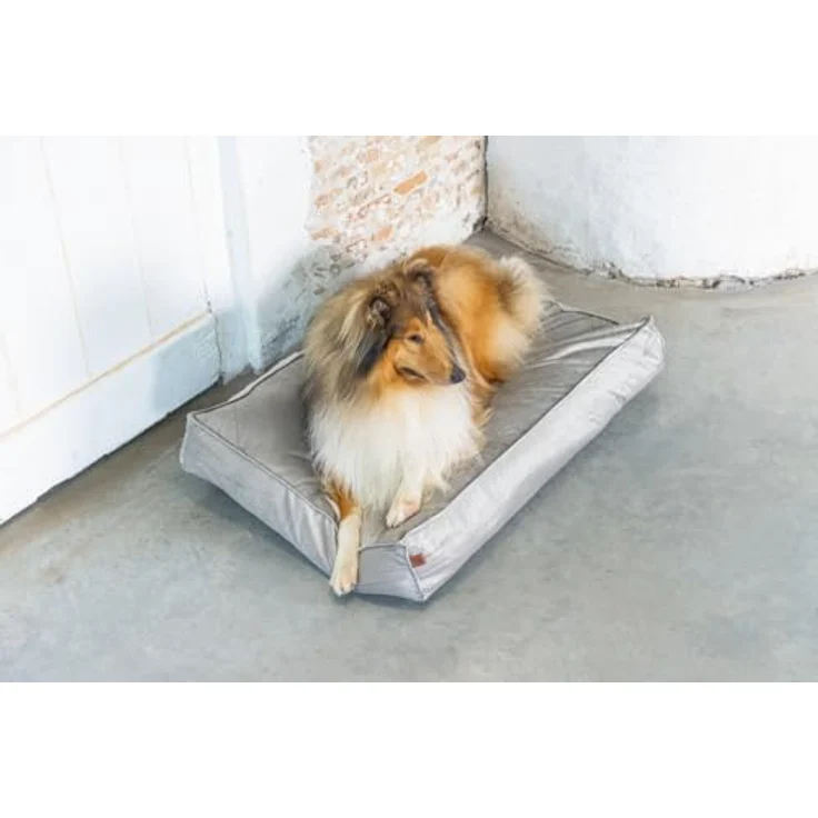 Designed by Lotte DBL Nalino Liegekissen, Hund, Samt, grau, 100x70x15 cm – Bild 9