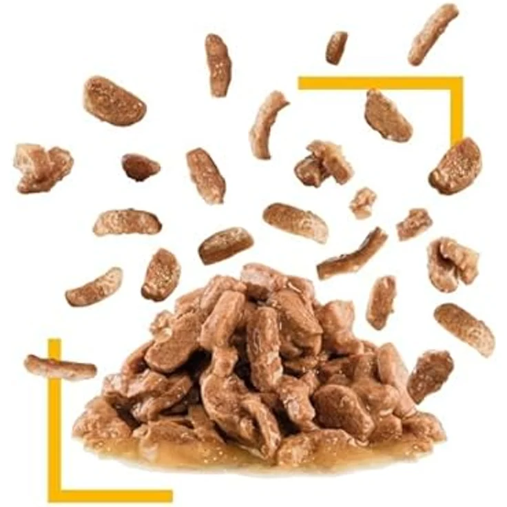 Royal Canin Sensory Taste in Soße, Katzen-Nassfutter mit Huhngeschmack und Röstaromen, 12 x 85 g – Bild 5