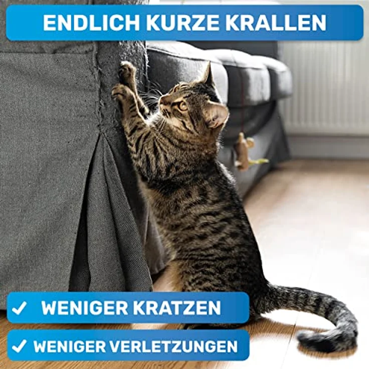 BluePet Mini Krallenschere, kleiner Nagelschneider für Katzen, Hunde, Kaninchen & Welpen, sicher und schmerzfrei, präziser Schnitt – Bild 2