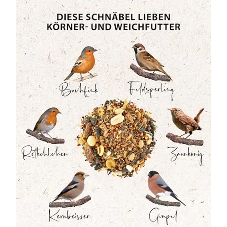 Dehner Natura Premium Wildvogelfutter, proteinreiches Ganzjahresfutter mit Nüssen, Früchten & Insekten, 2.5 kg – Bild 4