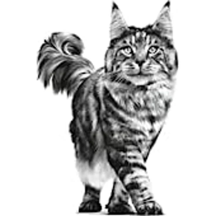 Royal Canin Feline EARLY RENAL, Trockenfutter für Katzen, 1500g, zur Unterstützung der Nierenfunktion bei chronischer Niereninsuffizienz – Bild 4