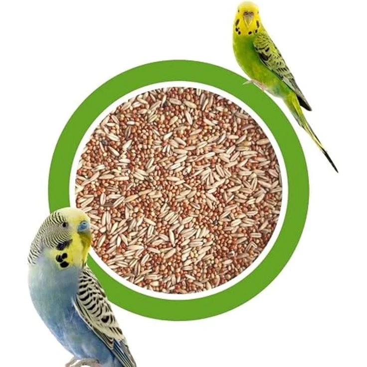 KLASEBO Wellensittichfutter 25kg, Premium Qualität Vogelfutter für Ziervögel, 100% Naturprodukt, GVO-frei, ohne Zusatzstoffe – Bild 1