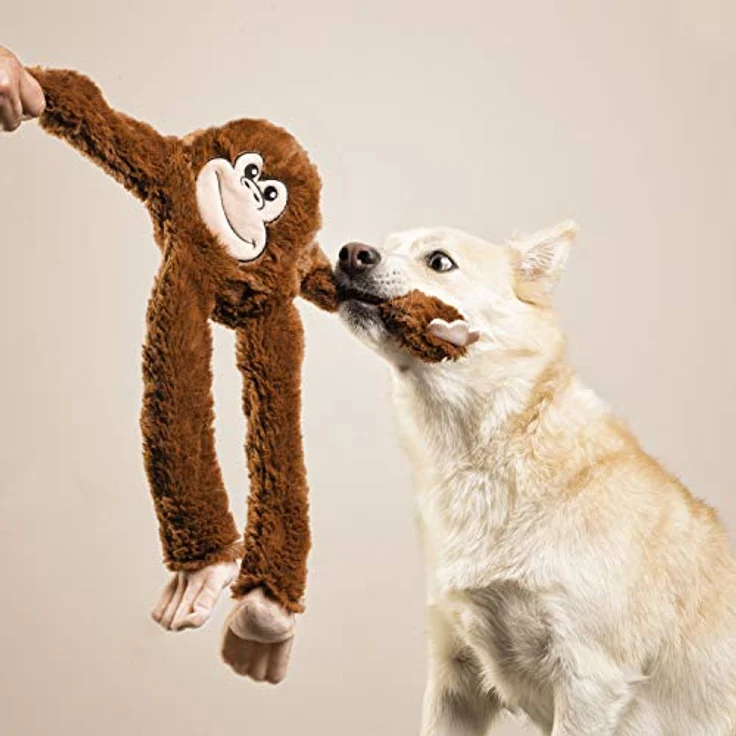 GLORIA Mini Miza, Stofftier für Hunde mit Quietschfunktion, für kleine Rassen – Bild 3