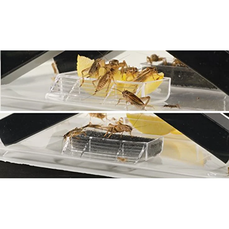 Exo Terra Cricket Pen, Pflegeset für Grillen mit belüfteter Abdeckung, Futter- und Wassernapf, klein (18 x 14 x 11 cm) – Bild 4