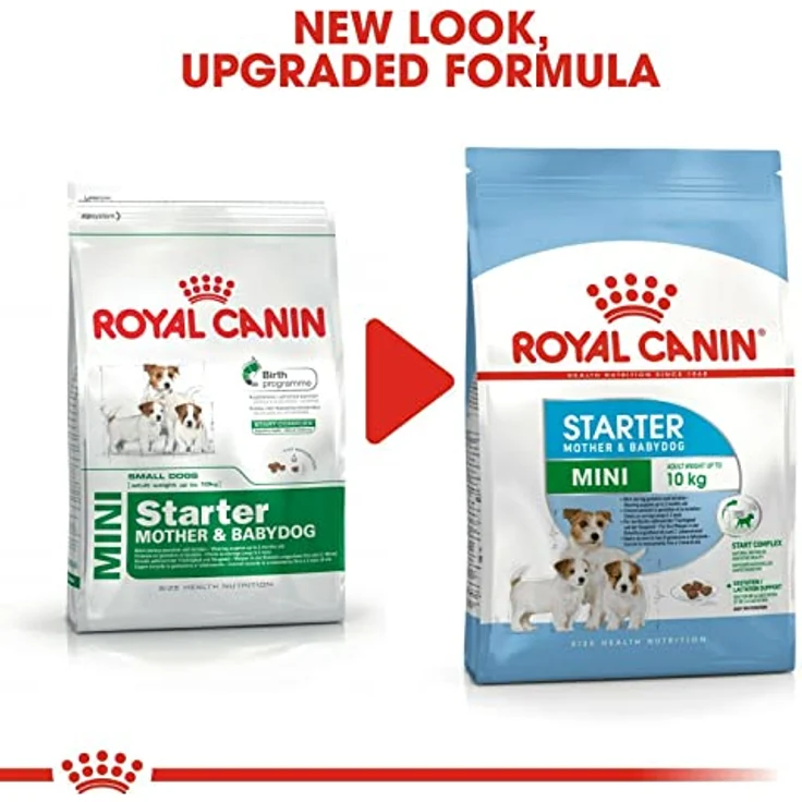 ROYAL CANIN Mini Starter 4 kg, Hundefutter für trächtige kleine Hündinnen und Welpen, hochverdauliche Proteine und Präbiotika für gesunde Verdauung – Bild 3