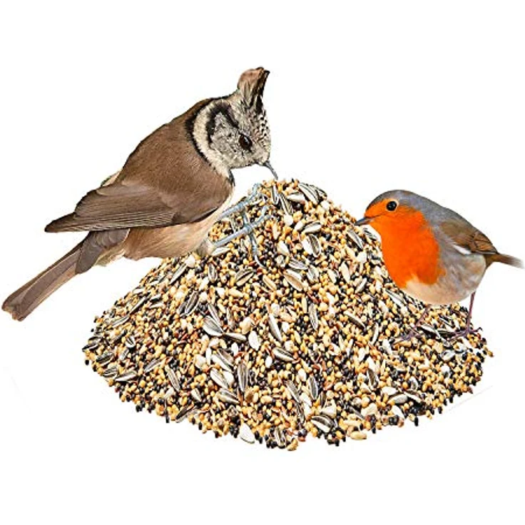 Paul´s Mühle Kleinsämereien-Mischung für Wildvögel & Taubenfutter, 5 kg energiereiches Ganzjahresfutter mit natürlicher Saatenvielfalt – Bild 3