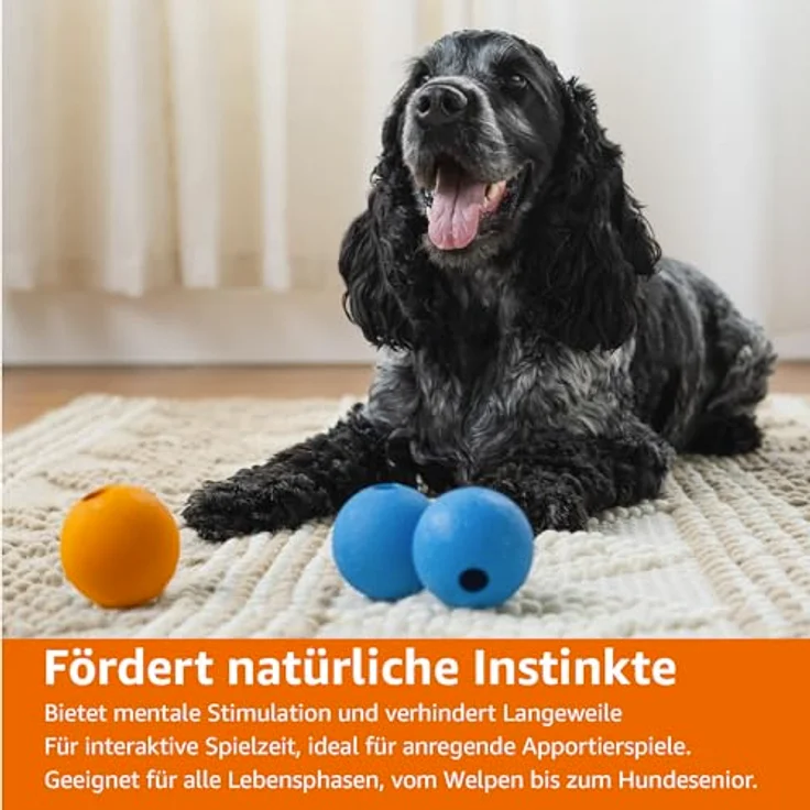 Amazon Basics Apportierbälle, Gummibälle für Hunde, 6.35 cm, 3er Set in Blau und Orange, strapazierfähig und haustiersicher – Bild 5