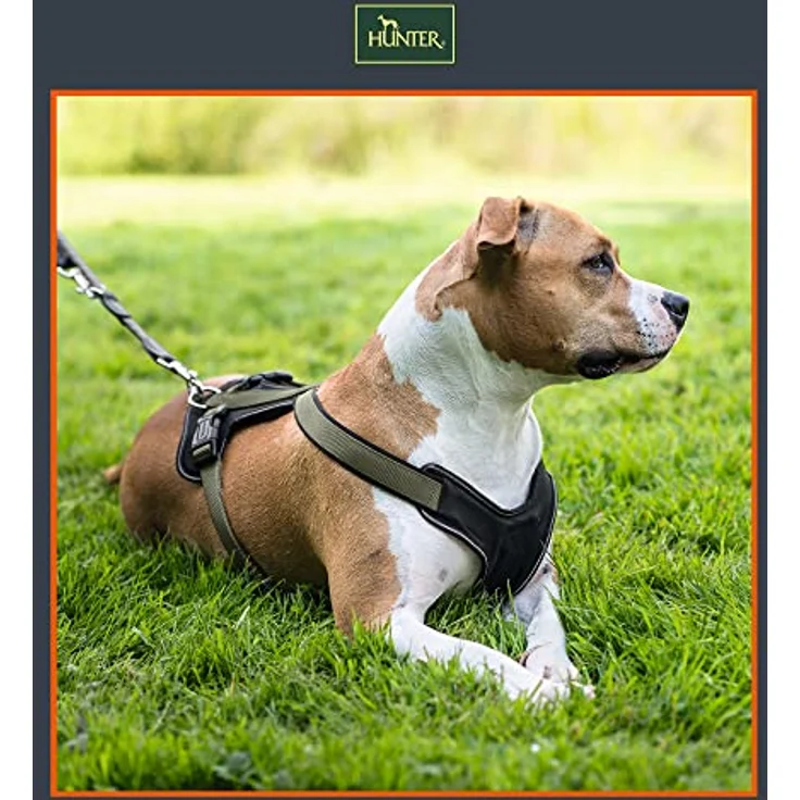 Hunter Hunde-Geschirr Neopren schwarz-grau S – Bild 3
