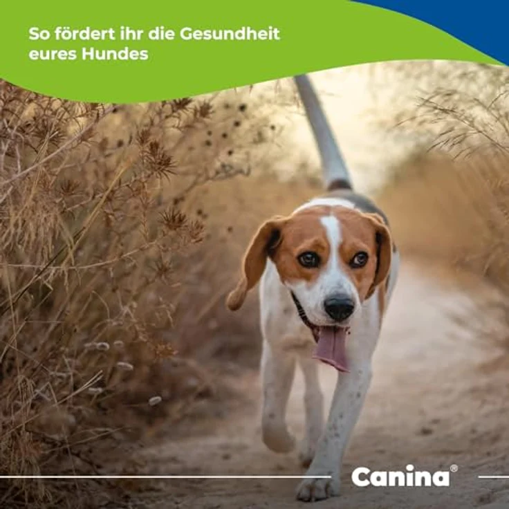 Canina CALCINA Fleischknochenmehl, 800 g - 100% reines Schwein, unterstützt Skelett und Gebiss, ideal für tragende und säugende Hündinnen – Bild 5