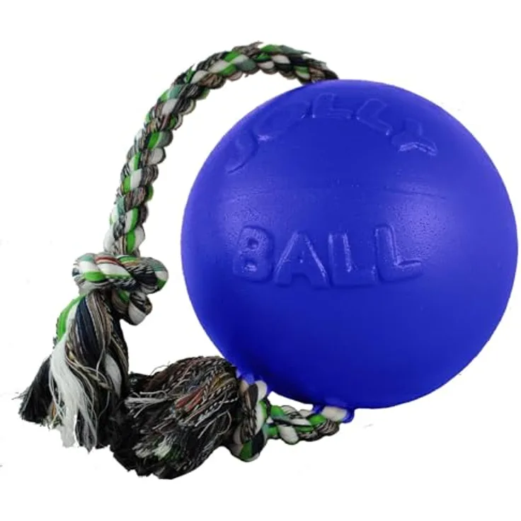 Jolly Pets Hundespielzeug (Hundespielzeug), Hundespielzeug