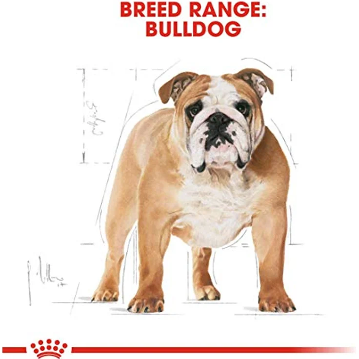 Royal Canin Bulldog Adult, Hunde-Trockenfutter für ausgewachsene Bulldogs, 12 kg – Bild 4