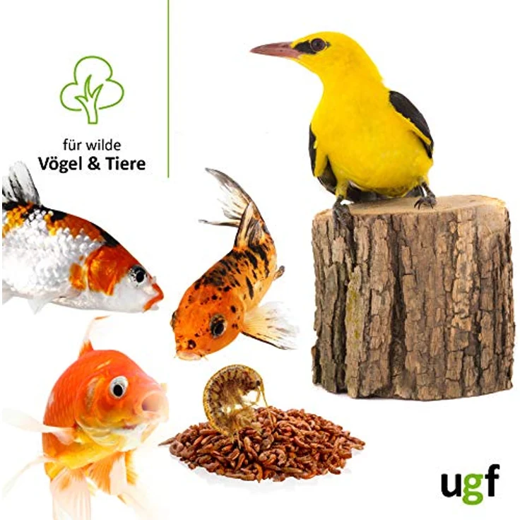 UGF Premium Gammarus Bachflohkrebse Getrocknet, 50g im 500ml Eimer, hochwertiges Futter für Schildkröten, Fische, Axolotl, Hamster, Igel, Koi und Ratten, 48% Protein, 100% natürlich – Bild 3