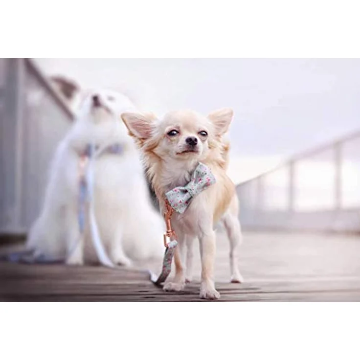 Unique Style Paws Hundehalsband mit Fliege, verstellbar, Baumwolle, in mehreren Größen für Hunde und Katzen – Bild 5