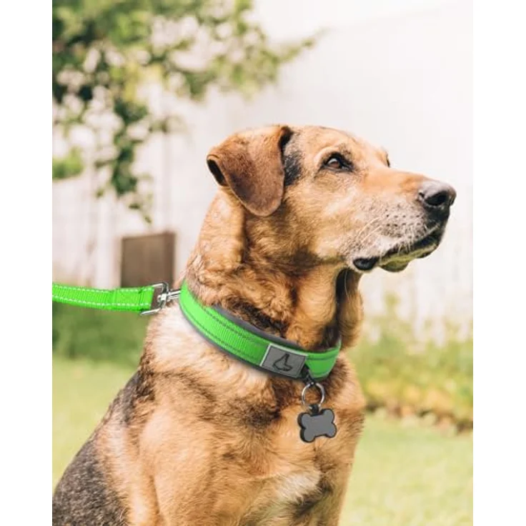 Joytale Hundehalsband, Gepolstertes Neoprenhalsband für Extra Große Hunde, Nylon Reflektierend, Grün – Bild 3